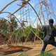 Image for article titled Bali’s bamboo architecture is sustainable—and spectacular